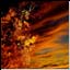Fiery Sky